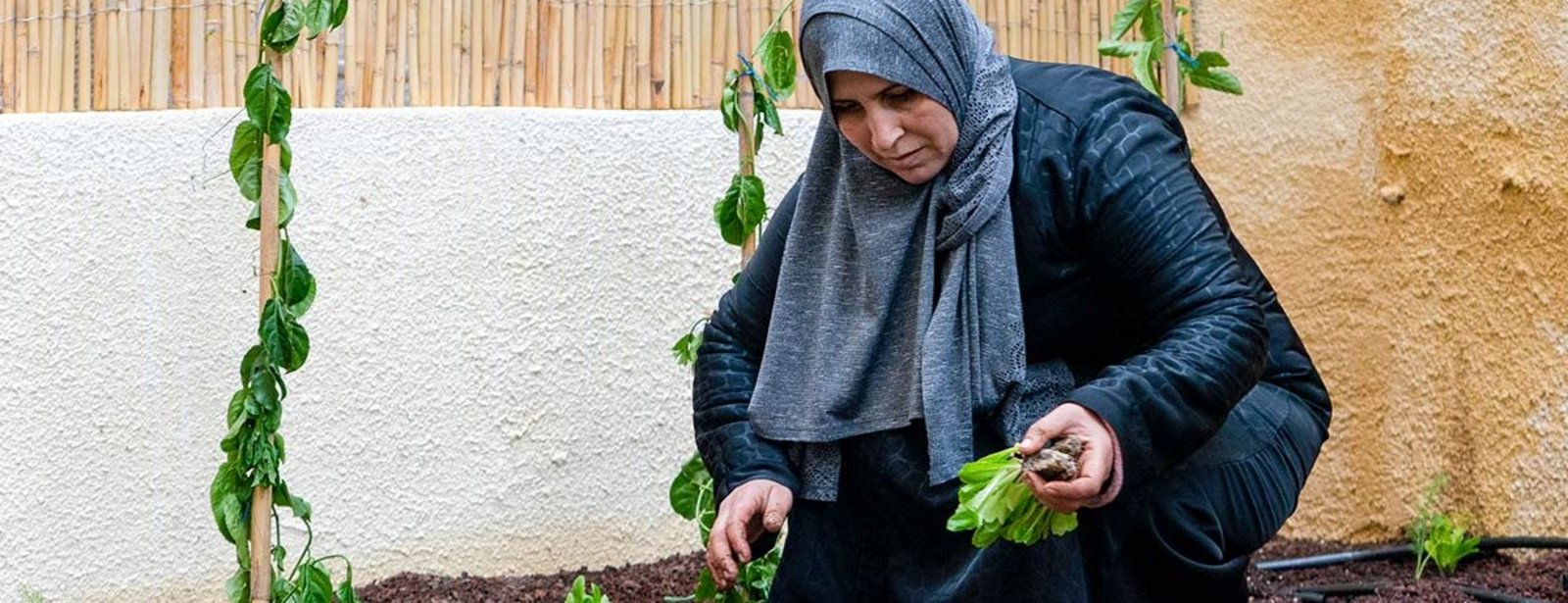 Urban Gardening in Jordanien